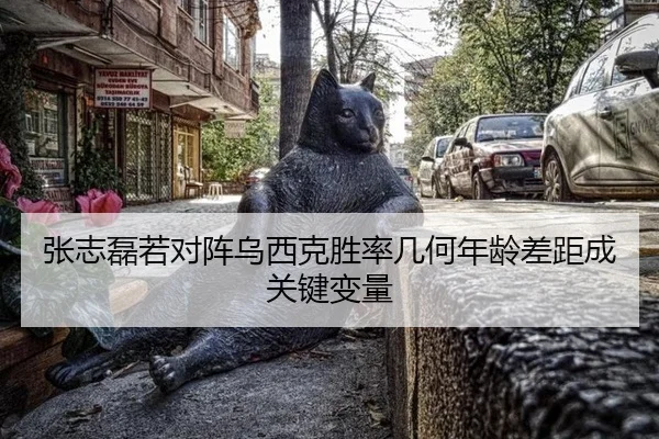 张志磊若对阵乌西克胜率几何年龄差距成关键变量