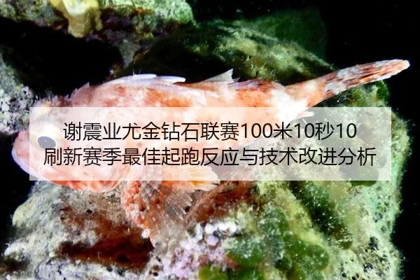 谢震业尤金钻石联赛100米10秒10刷新赛季最佳起跑反应与技术改进分析