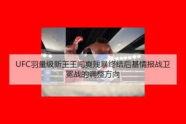 yu-liang-ji-xin-wang-wang-yan-shuang-can-bao-zhong-jie-hou-ji-qing-bao-zhan-wei-mian-zhan-de-tiao-zheng-fang-xiang-2-253.jpg